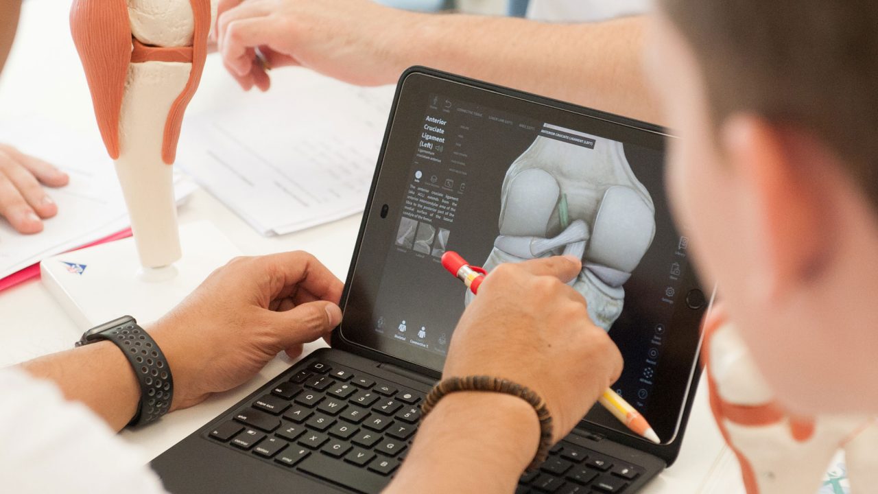 Physiotherapy student pointing at laptop with picture of ligament