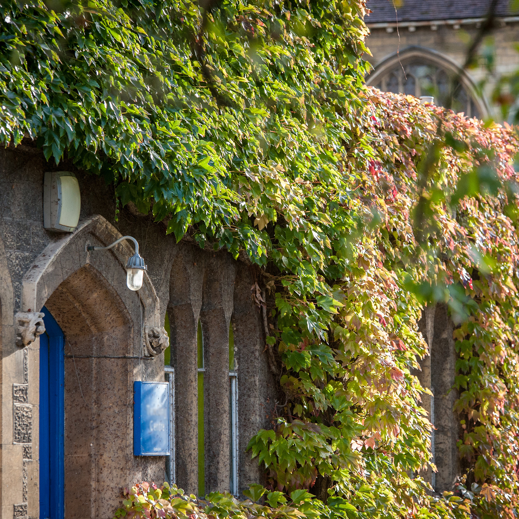 The entrance to the teaching centre, covered in ivy, at Francis Close Hall campus