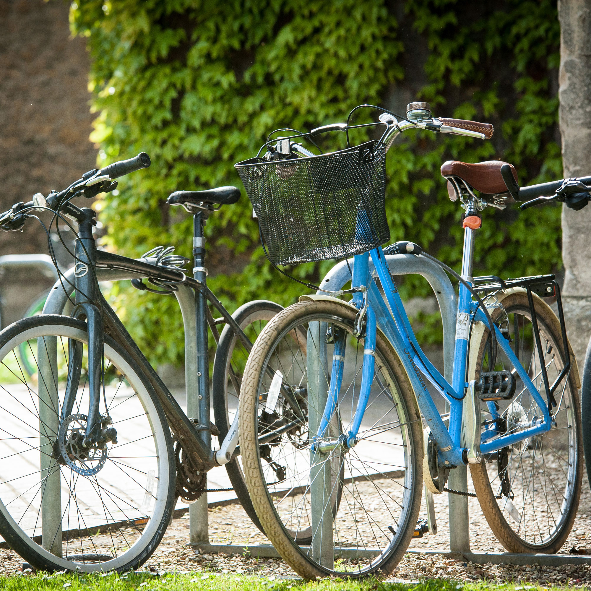Two bikes on bike rack at Francis Close Hall campus