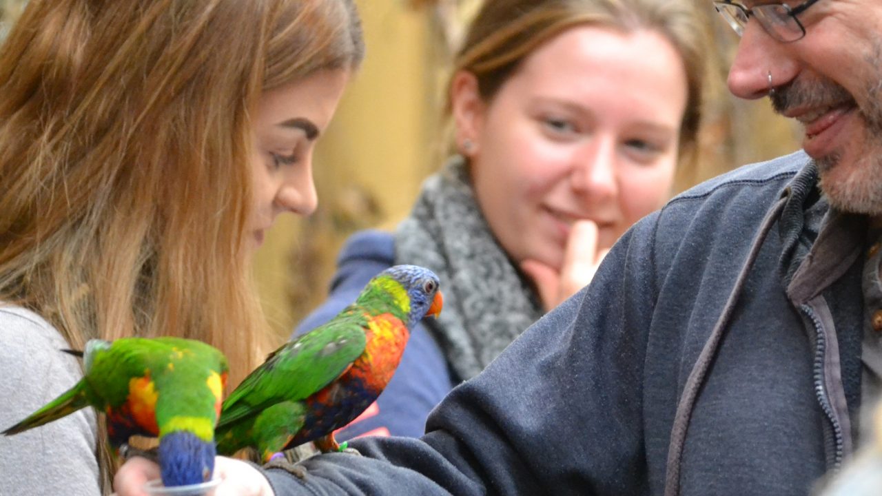 A man feeds a bird that is sat on his hand