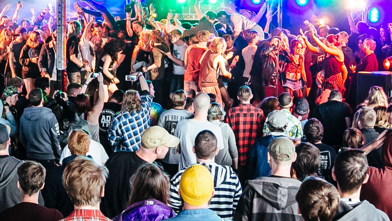 Crowd enjoying music at 2000 trees festival