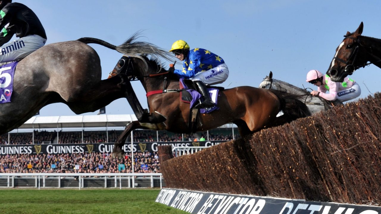 Horse Racing