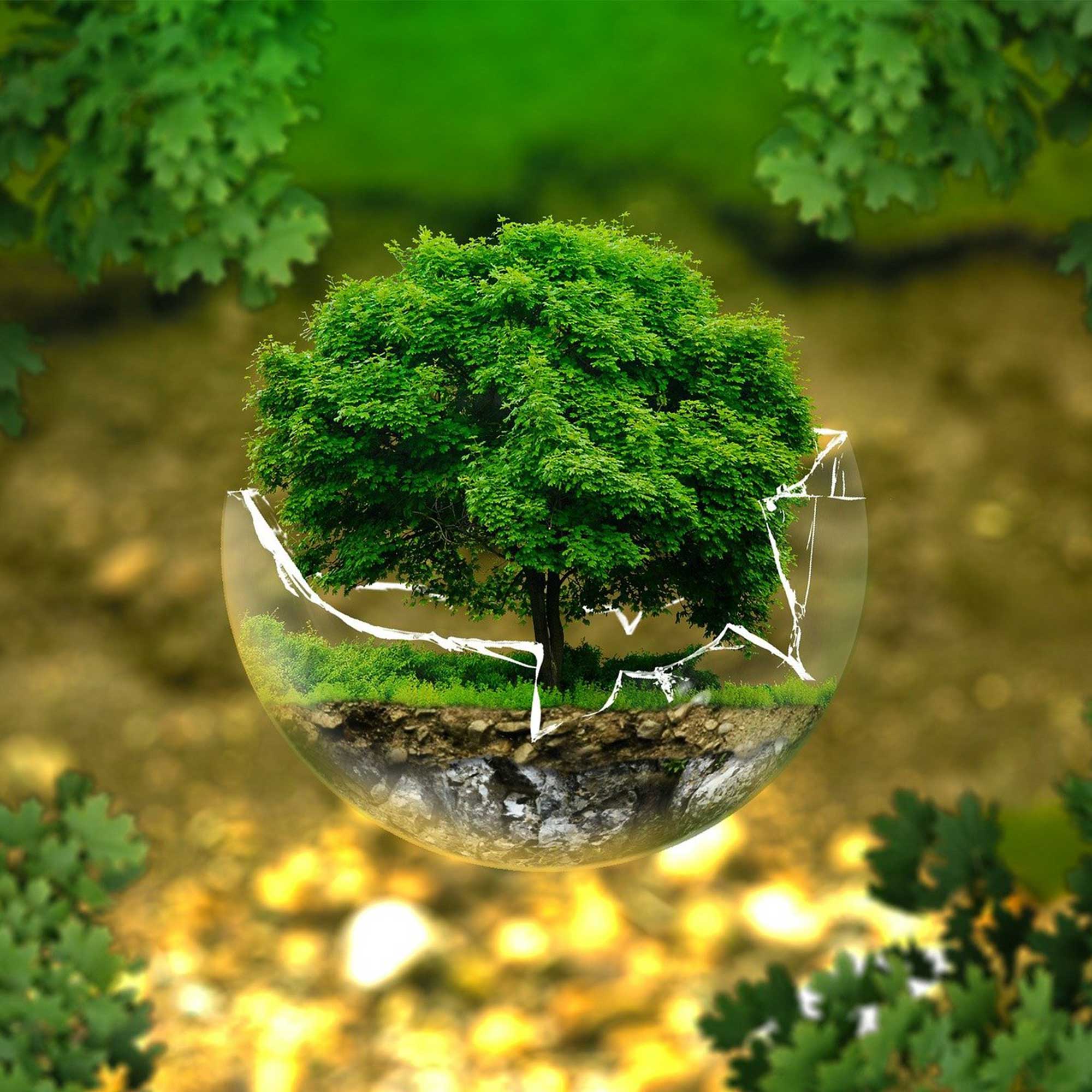 Tree in globe