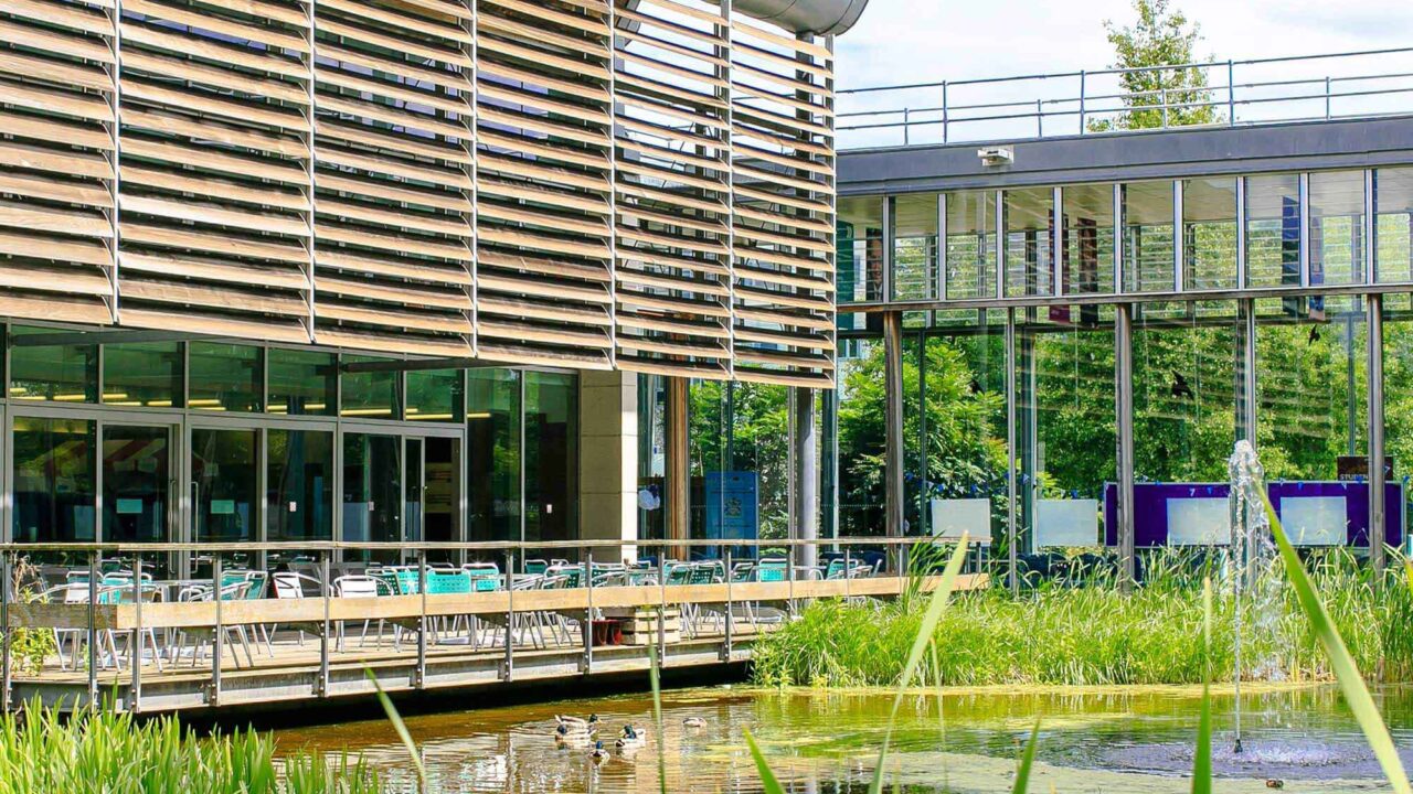 Oxstalls pond in the sunshine with ducks on the water