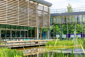 Oxstalls pond in the sunshine with ducks on the water