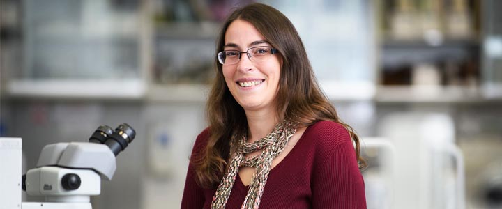 Unlocking the mysteries behind the behaviour of birds - University of ...