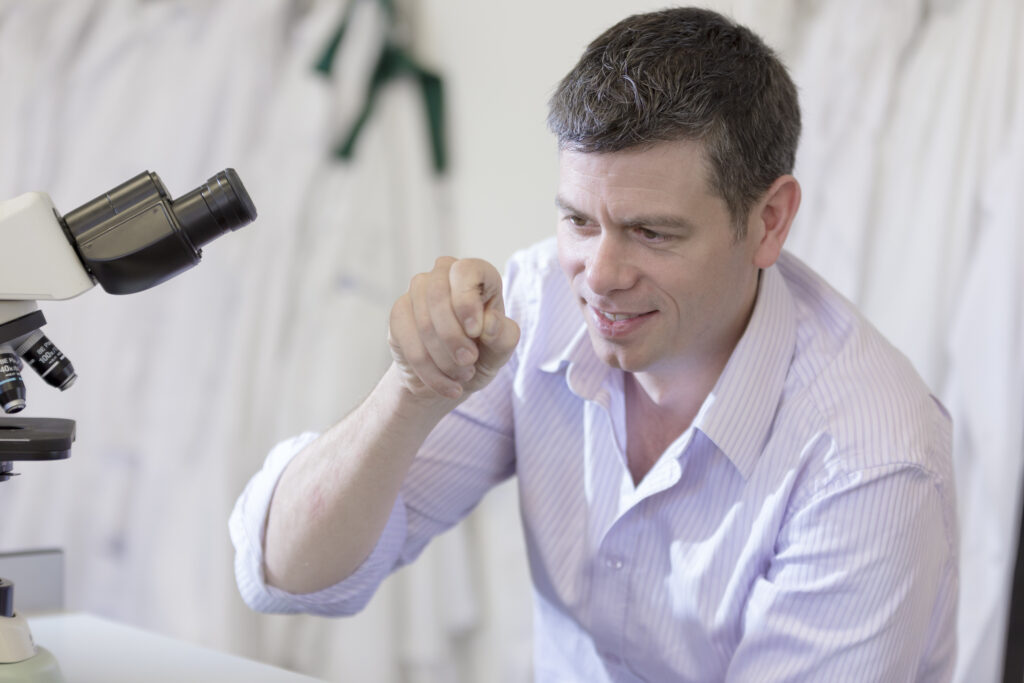 Picture of University of Gloucestershire Professor, Adam Hart, has been appointed as the new Vice President of the Royal Entomological Society
