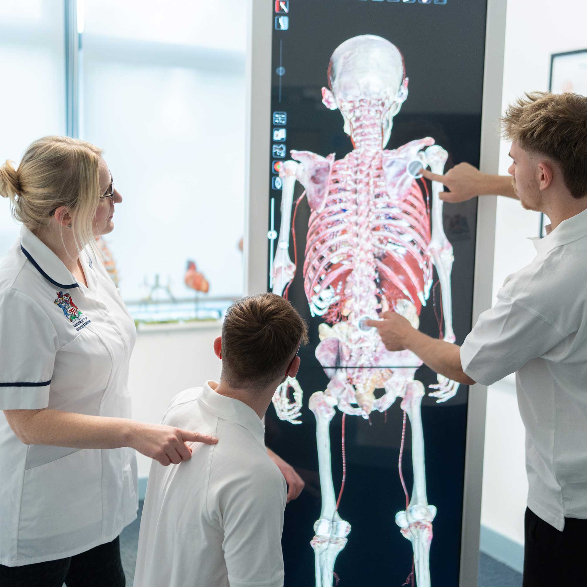 Students of Occupational Therapy look at a scan of the human body on a large interactive digital screen.