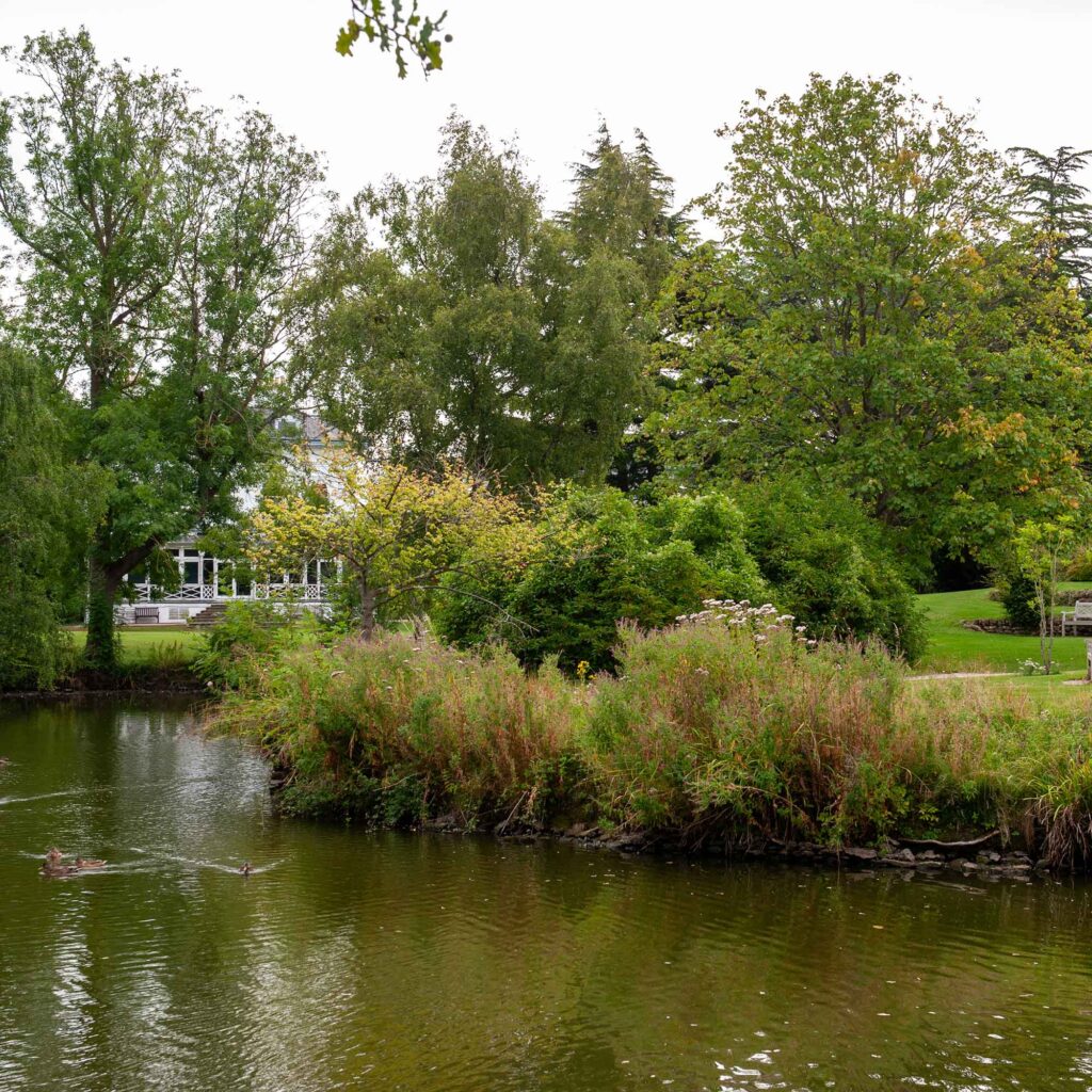 Scenic Park campus, Cheltenham, with ducks swimming in the lake.