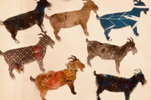 A selection of goat-cards with artwork on them for UoG's Greatest of All Time exhibition.