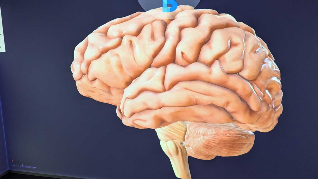 The immersive room at City Campus, Gloucester with a screen showing the brain.