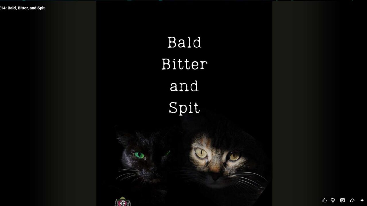 A Youtube video cover image of Bald Bitter and Spit showing two cats' faces.