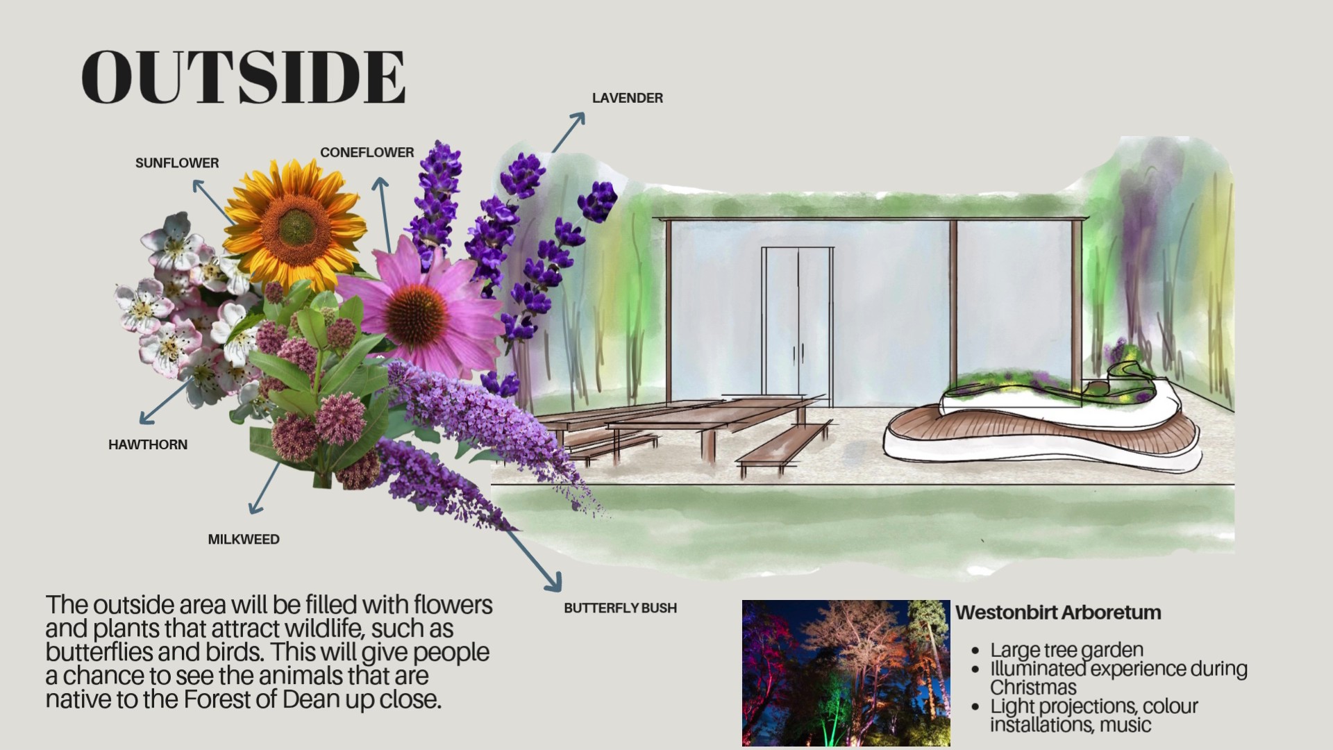 Interior Design students' presentation showing the outside space and the plants which will grow tere.
